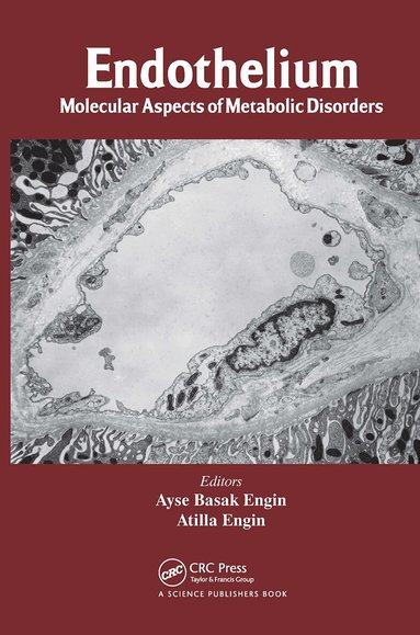 Ayse Basak Engin, Atilla Engin - Endothelium, Inbunden