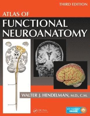 bokomslag Atlas of Functional Neuroanatomy