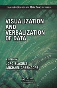 bokomslag Visualization and Verbalization of Data