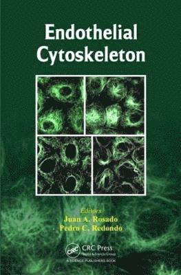 bokomslag Endothelial Cytoskeleton