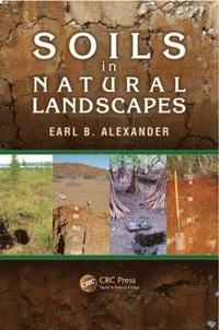 bokomslag Soils in Natural Landscapes