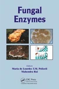 bokomslag Fungal Enzymes