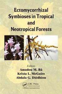 bokomslag Ectomycorrhizal Symbioses in Tropical and Neotropical Forests