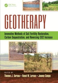 bokomslag Geotherapy