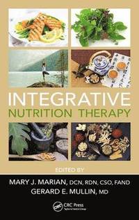 bokomslag Integrative Nutrition Therapy