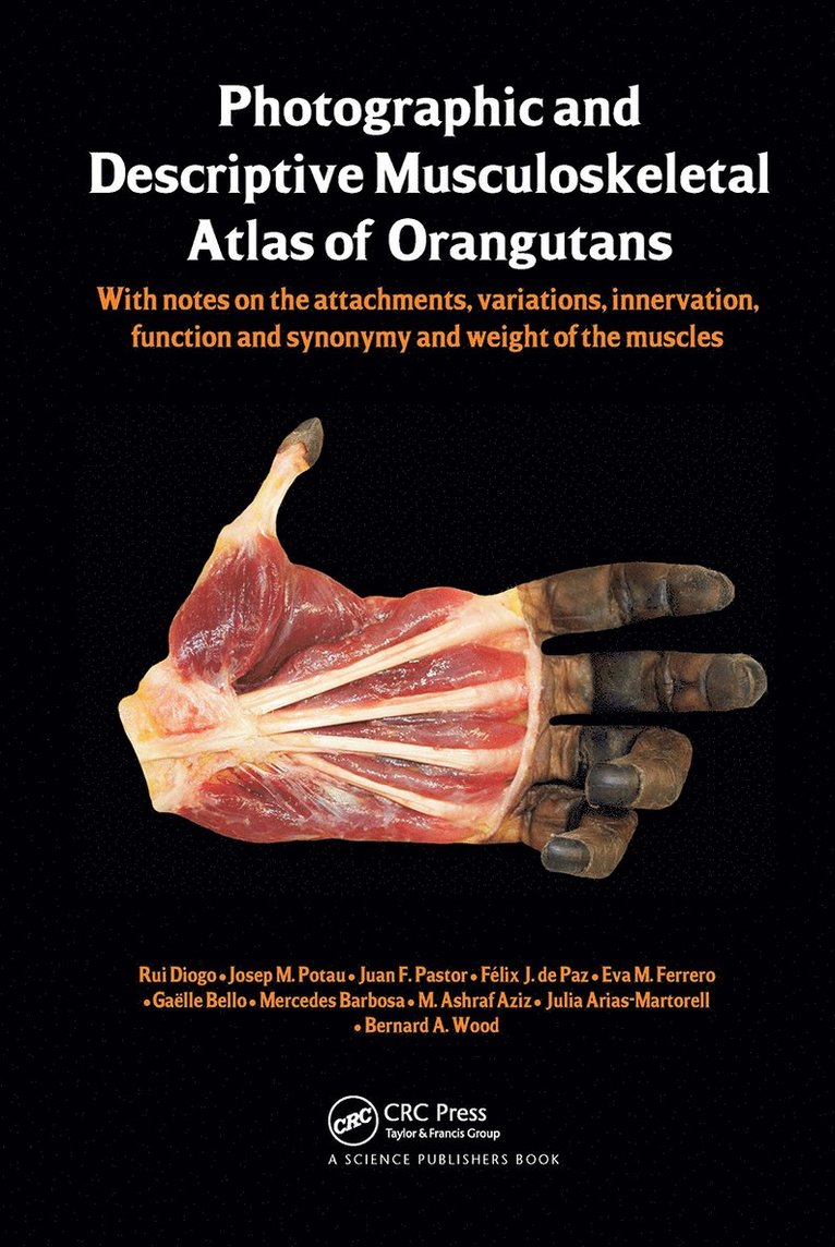 Photographic and Descriptive Musculoskeletal Atlas of Orangutans 1