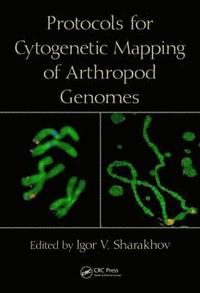 bokomslag Protocols for Cytogenetic Mapping of Arthropod Genomes