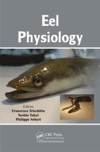 bokomslag Eel Physiology