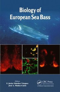 bokomslag Biology of European Sea Bass