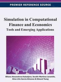 bokomslag Simulation in Computational Finance and Economics