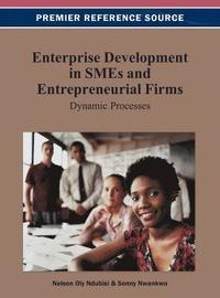 bokomslag Enterprise Development in SMEs and Entrepreneurial Firms: Dynamic Processes