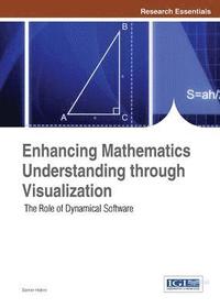 bokomslag Enhancing Mathematics Understanding through Visualization: The Role of Dynamical Software