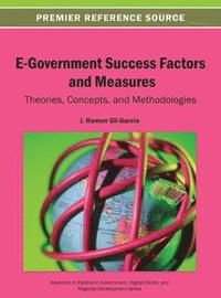 bokomslag E-Government Success Factors and Measures