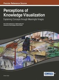 bokomslag Perceptions of Knowledge Visualization