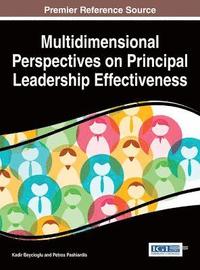 bokomslag Multidimensional Perspectives on Principal Leadership Effectiveness