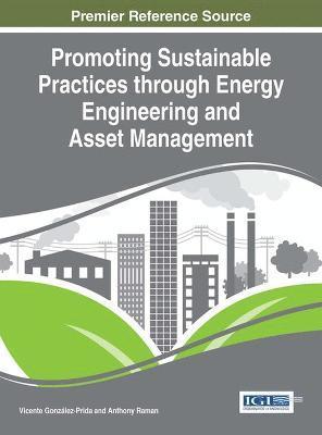 Vicente González-Prida, Anthony Raman - Promoting Sustainable Practices through Energy Engineering and Asset Management, Inbunden