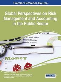 bokomslag Global Perspectives on Risk Management and Accounting in the Public Sector