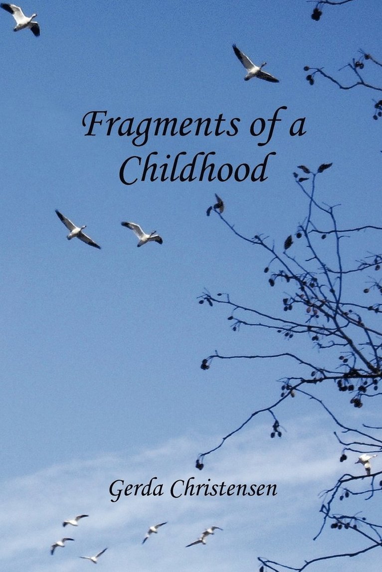 Fragments of a Childhood 1