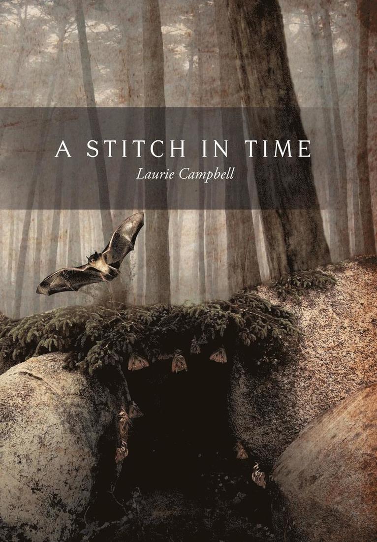 Laurie Campbell - Stitch in Time, Inbunden