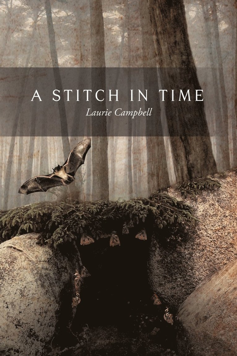 Laurie Campbell - Stitch in Time, Häftad