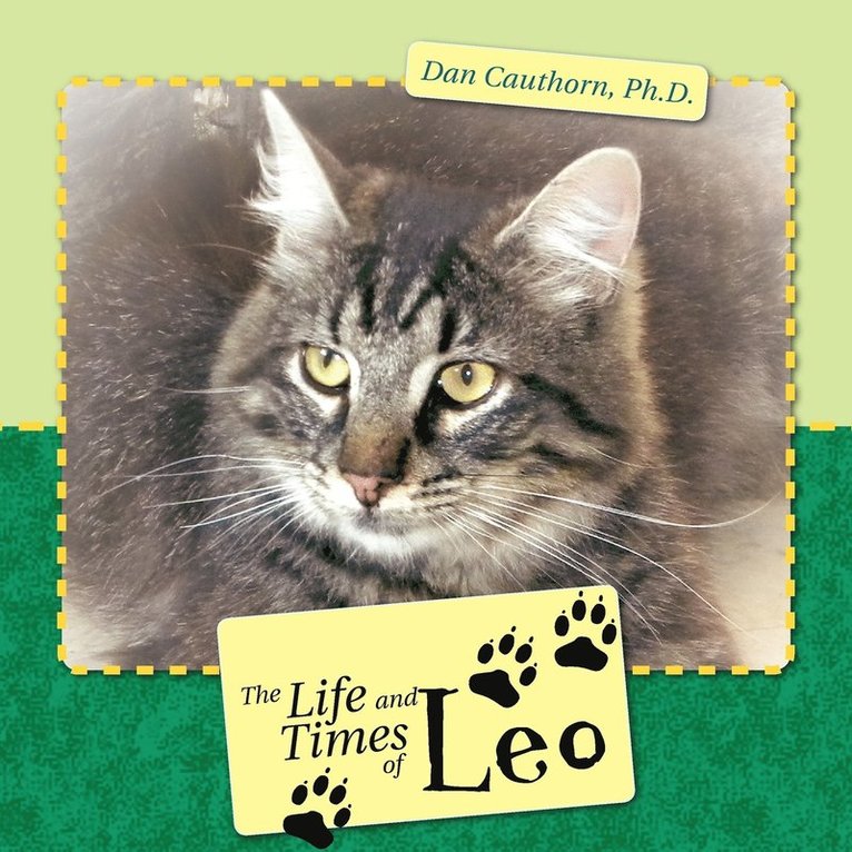 The Life and Times of Leo 1