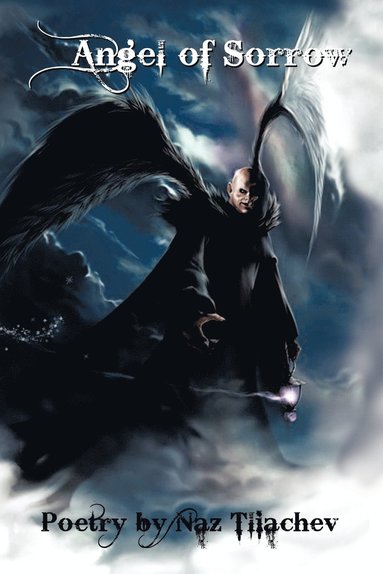 bokomslag Angel of Sorrow