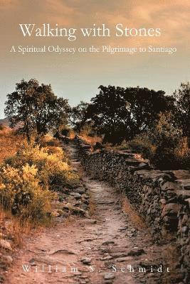 William S Schmidt - Walking with Stones, Häftad