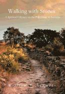 William S Schmidt, William S. Schmidt - Walking with Stones, Inbunden
