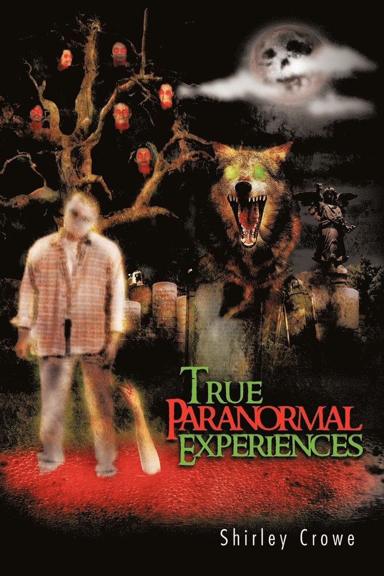 Shirley Crowe - True Paranormal Experiences, Häftad