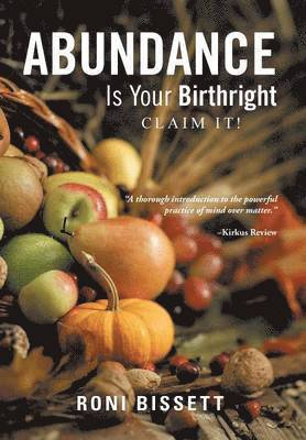 bokomslag Abundance Is Your Birthright