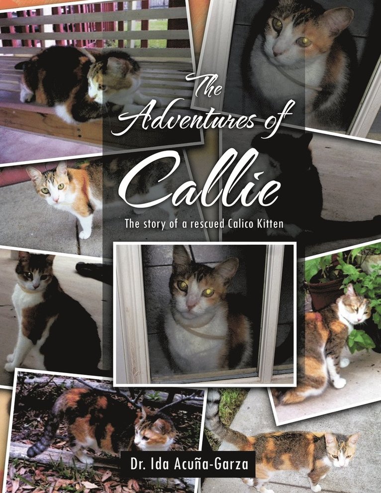 The Adventures of Callie 1