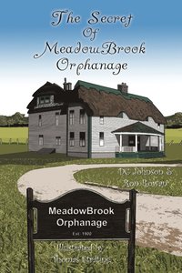 bokomslag The Secret of Meadowbrook Orphanage