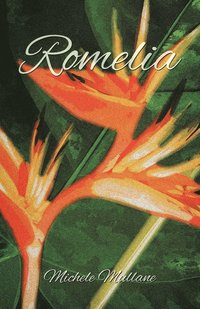 bokomslag Romelia