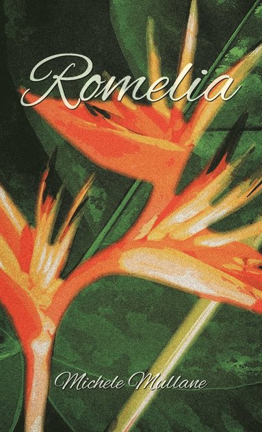 bokomslag Romelia