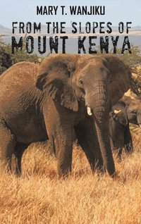 bokomslag From the Slopes of Mount Kenya