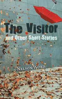 bokomslag The Visitor and Other Short Stories