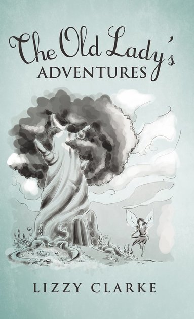 bokomslag Old Lady's Adventures