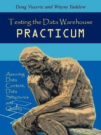 bokomslag Testing the Data Warehouse Practicum
