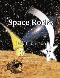 bokomslag Space Rocks