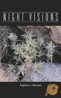 bokomslag Night Visions