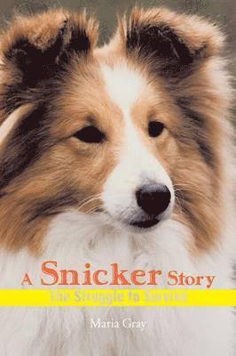 A Snicker Story 1