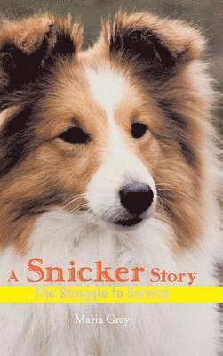bokomslag Snicker Story