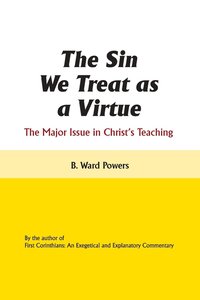 bokomslag The Sin We Treat as a Virtue