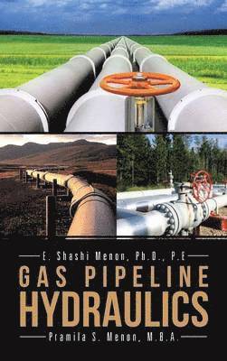 Shashi Menon, Pramila Menon - Gas Pipeline Hydraulics, Inbunden