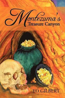 bokomslag Montezuma's Treasure Canyon