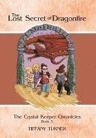 Lost Secret of Dragonfire