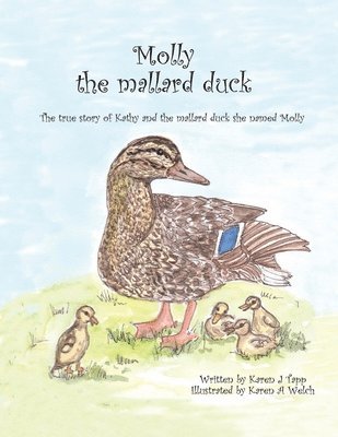 Molly the Mallard Duck 1