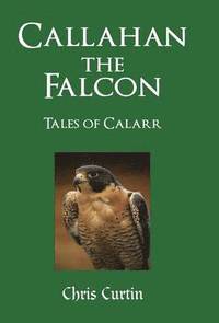 bokomslag Callahan the Falcon