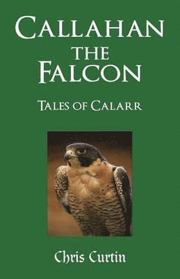 bokomslag Callahan the Falcon