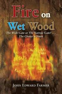 bokomslag Fire on Wet Wood